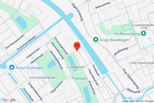 Bisschops Y