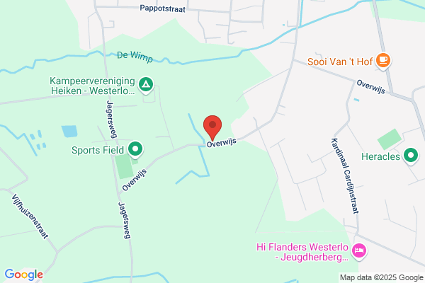 Belgium Dog Training Center