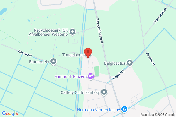 Buso Tongelsbos