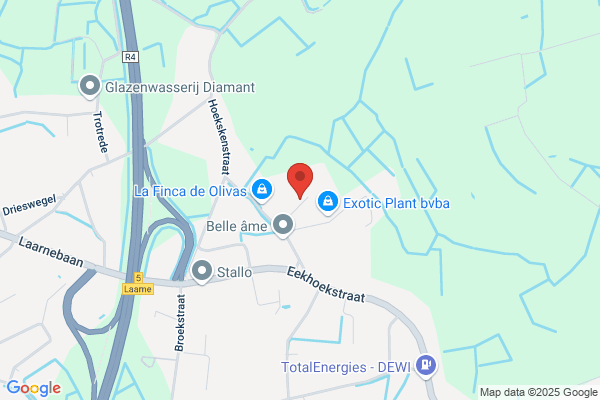 Lauwaert