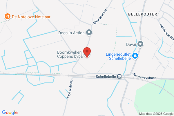 Coppens/Adolf