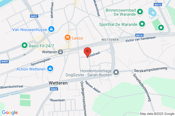 Van Den Bosch K.