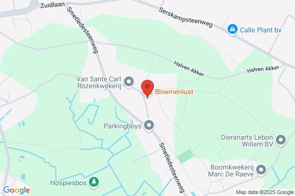 Bloemenlust Nv