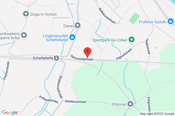 Samyn