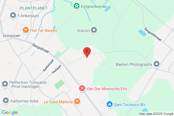 Munsterlander Kennel Van Rozelaer