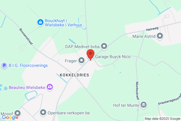 Buyck Bvba