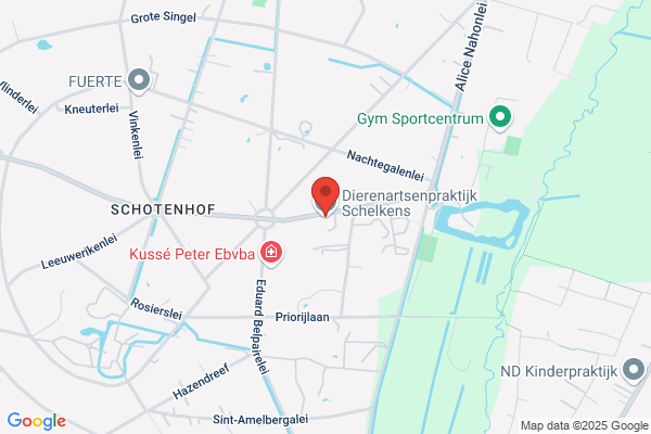Schellekens A