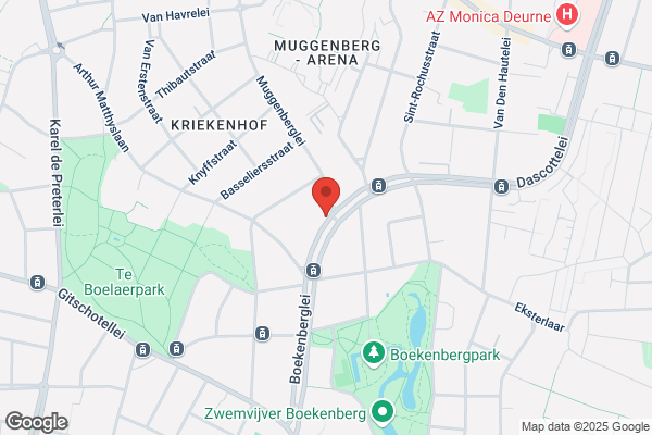 Regenboog (De)