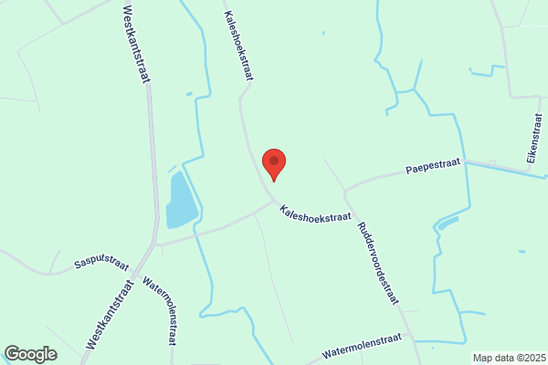 Pauwelyn/Jan