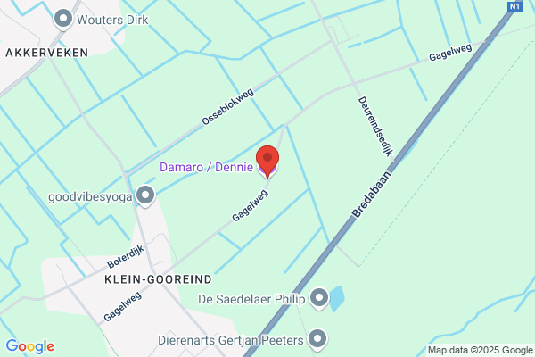Matthyssen Daniëlle