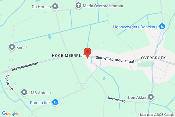Van Dijck/Peter