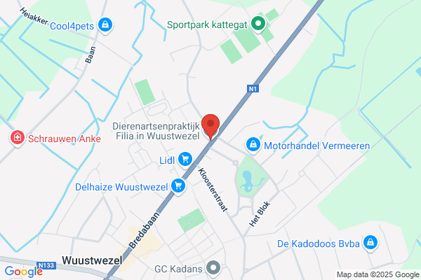 Fockaert/Carolien