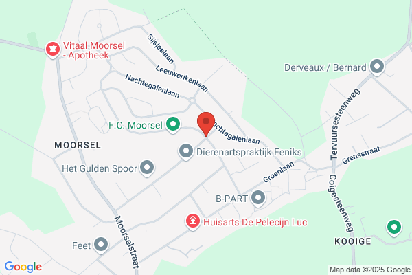 Philippe Lion
