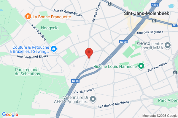 Local Cleaning Sprl