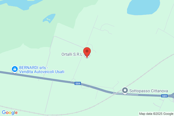 Ortali Import Export