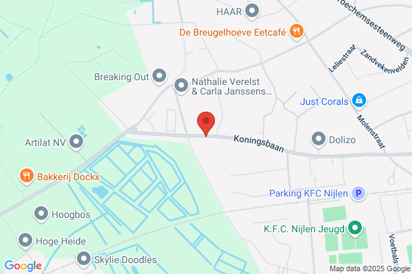 Wijngaerd (De)