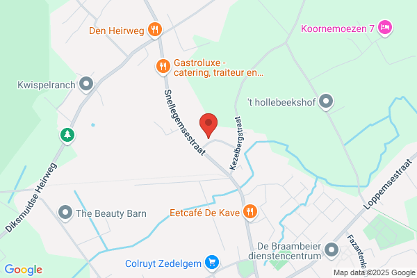 Van Wassenhove/Wim