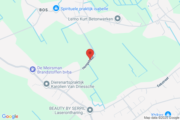 Harlekijntje ('t)