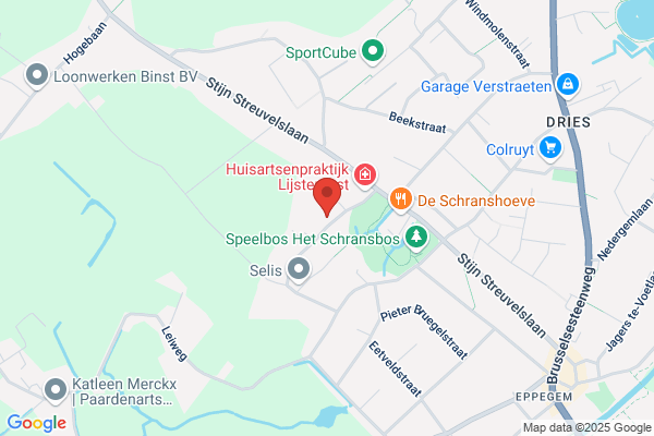 Van Steenwinckel