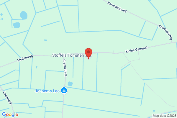 Stoffels Koenraad