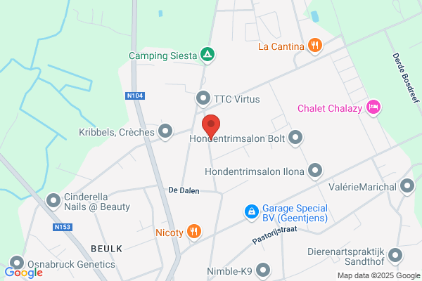 Plafonneringswerken De Vrij Bvba