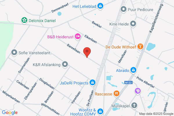Apollo Consulting