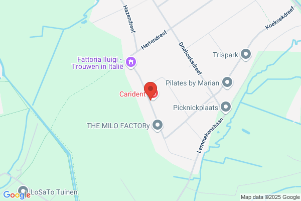 Carident