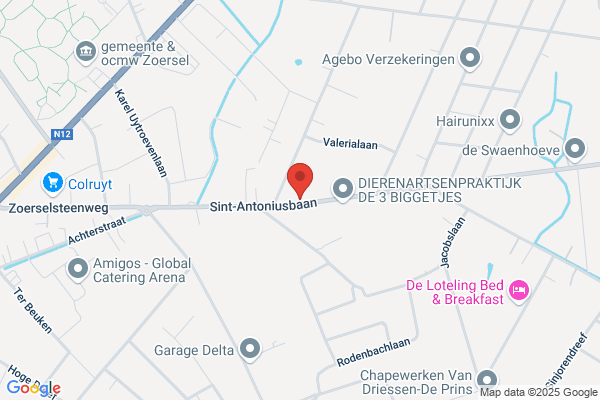 Afspanning Driesen