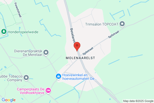 Hemeryck/Hubert