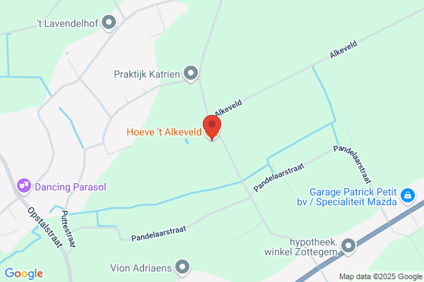 Ijs Vlokje ('t)