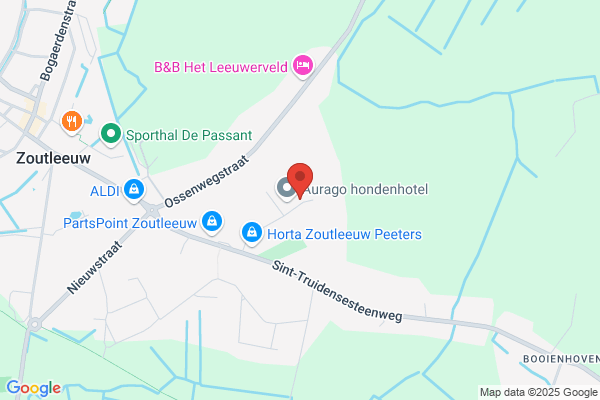 Dakdekkertje ('t)