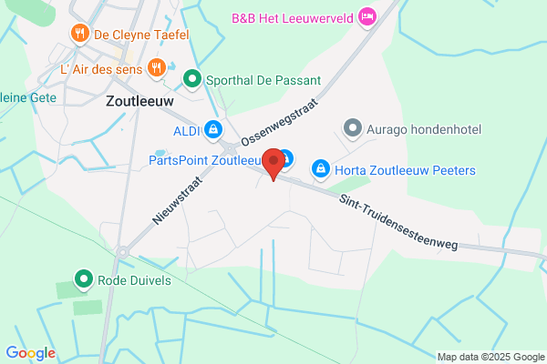 Buso Zonnegroen