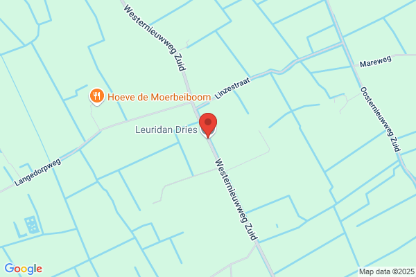Leuridan Dries
