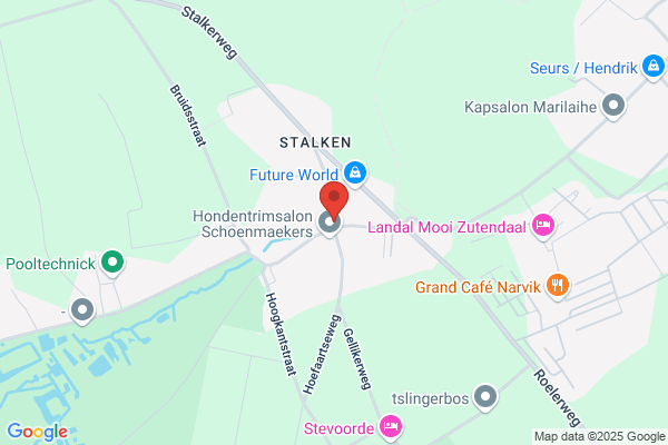 Begeleidingstehuis De Steiger