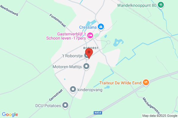 De Wilde Eend