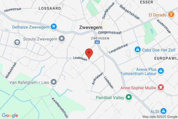 Deco Reyntjens P