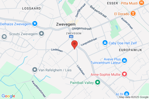 Bloemen Zen/Vanfleteren