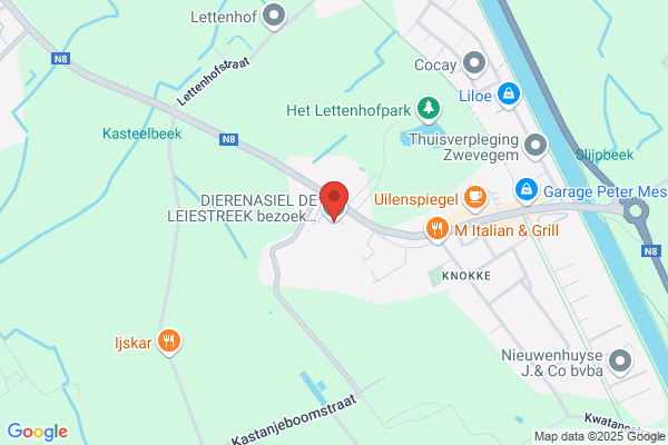 Dierenbescherming Der Leiestreek Vzw